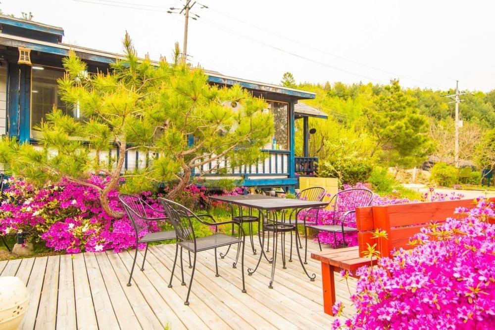 Pyeongchang Zermatt Pension Family, Couple Екстер'єр фото
