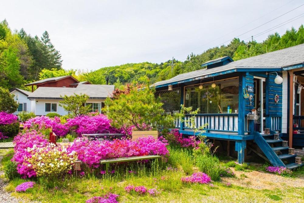 Pyeongchang Zermatt Pension Family, Couple Екстер'єр фото